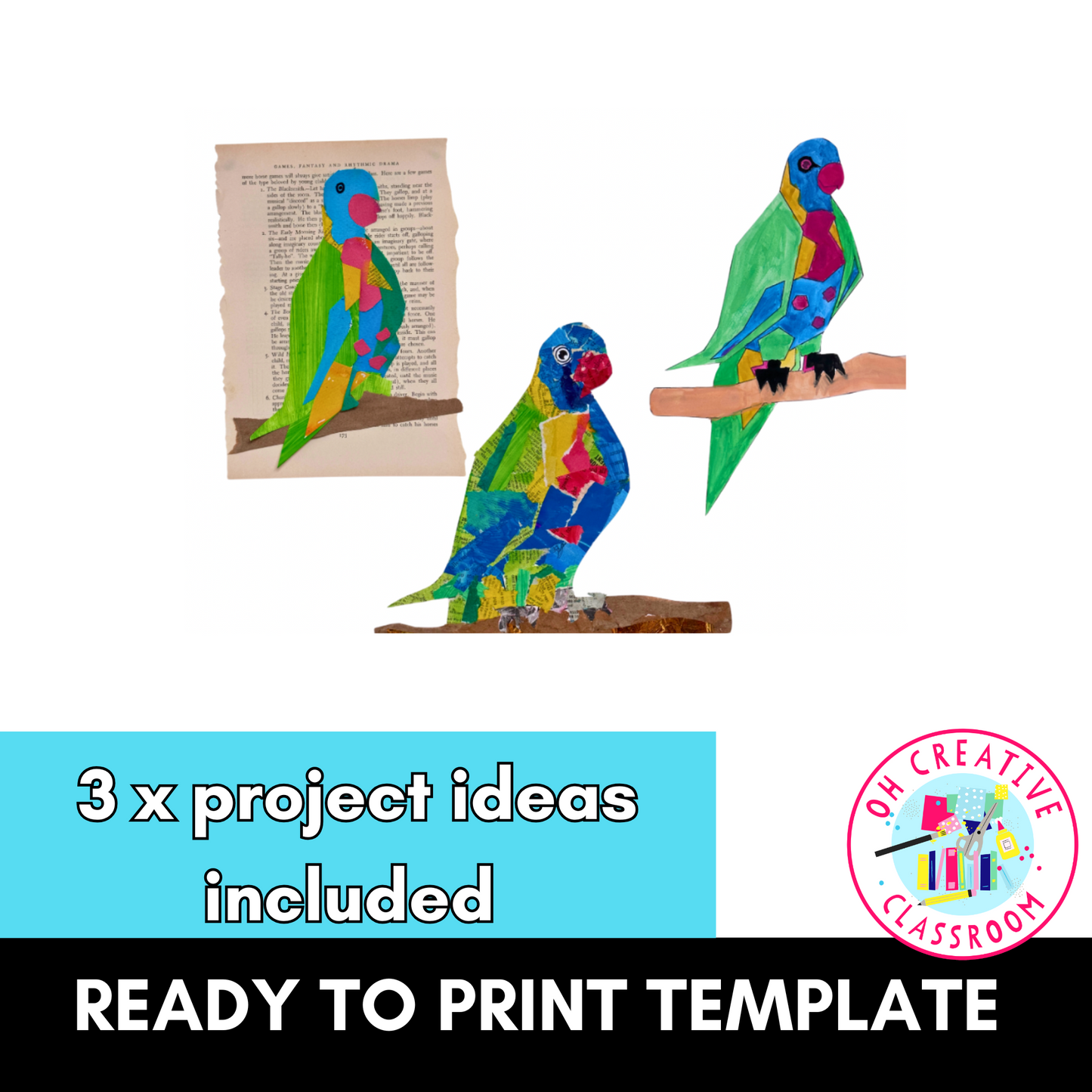 Rainbow Lorikeets | Australian Birds Art Project | Australian Animals Printable