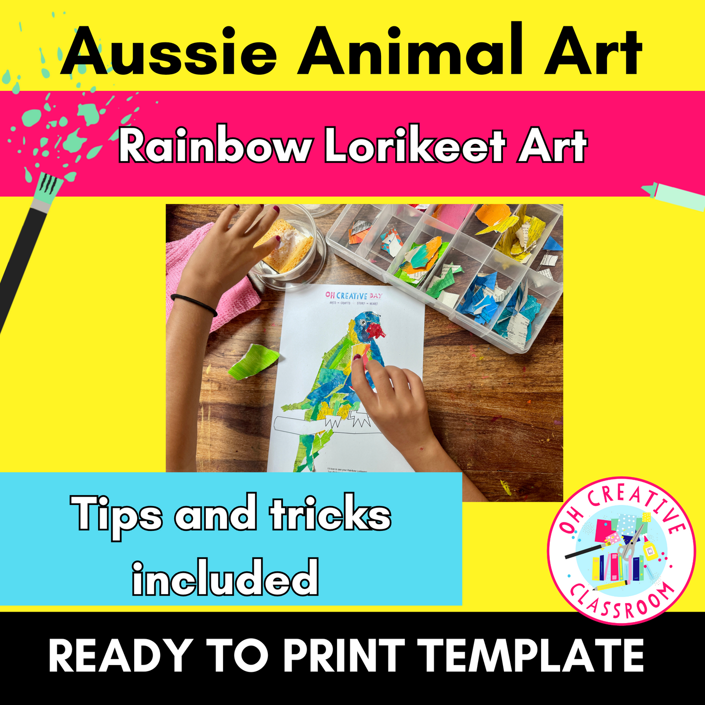 Rainbow Lorikeets | Australian Birds Art Project | Australian Animals Printable